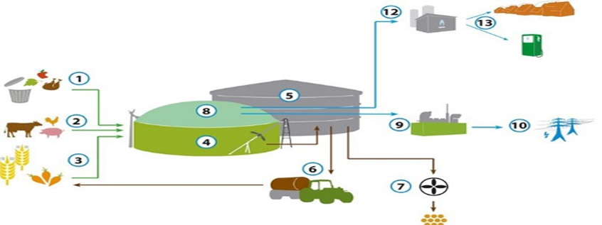 (English) Bio-digestion of Organic Waste