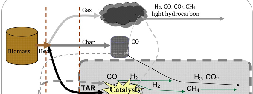 (English) Pyrolysis of Woody Biomass