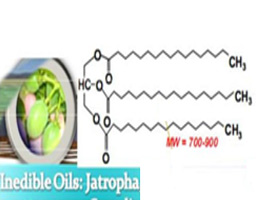 Biofuels for Aviation